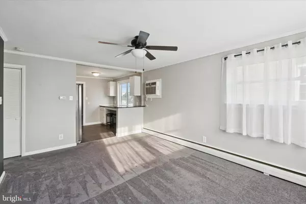 Philadelphia, PA 19111,703 HOFFNAGLE ST #2