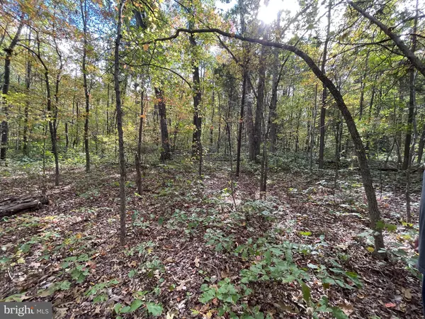 Goldvein, VA 22720,MARSH RD