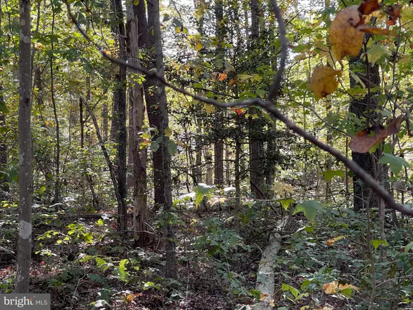 Goldvein, VA 22720,MARSH RD