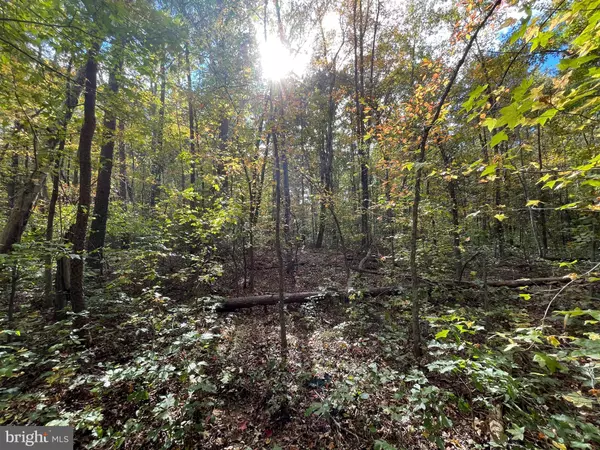 Goldvein, VA 22720,MARSH RD