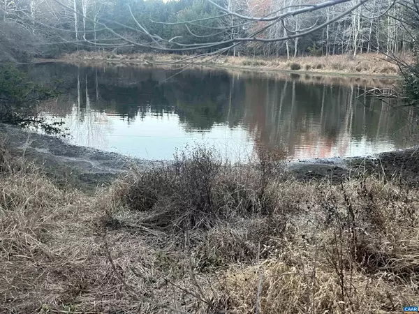 Lignum, VA 22726,0 MITCHELL FORD RD