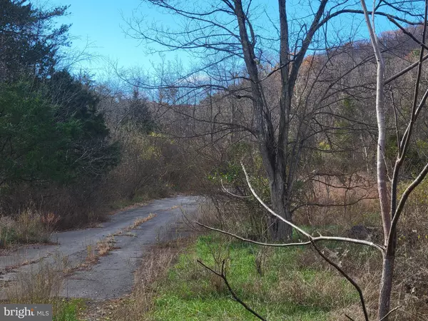 Keyser, WV 26726,NORTHWESTERN TURNPIKE