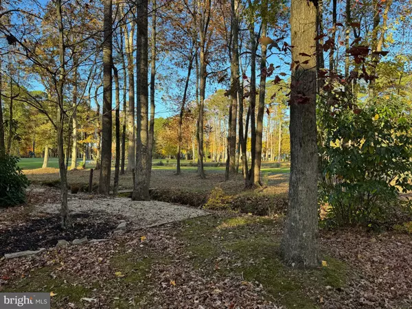 Ocean Pines, MD 21811,54 CANNON DR