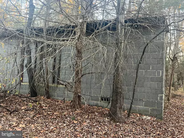 Lignum, VA 22726,MITCHELL FORD RD