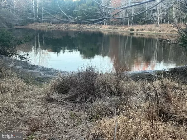 Lignum, VA 22726,MITCHELL FORD RD