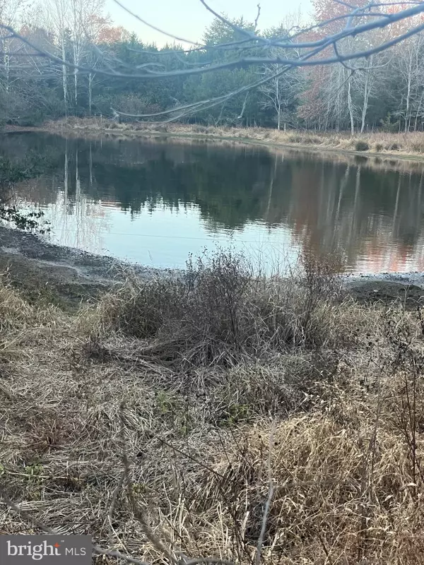 Lignum, VA 22726,MITCHELL FORD RD