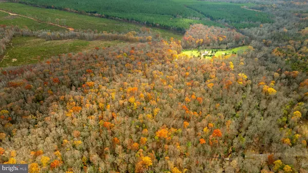 Spotsylvania, VA 22551,14100 CEDAR PLANTATION RD