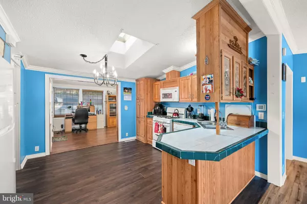 Millsboro, DE 19966,169 WHITE PINE DR