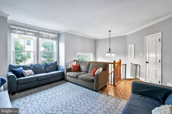 Leesburg, VA 20175,206 TOWN BRANCH TER SW