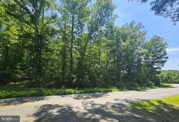 Madison, VA 22727,JACKS SHOP RD