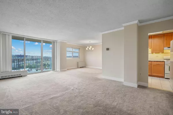 Alexandria, VA 22302,1225 MARTHA CUSTIS DR #1119