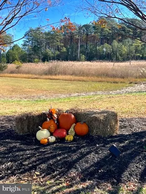 Millsboro, DE 19966,26773 CHATHAM LN