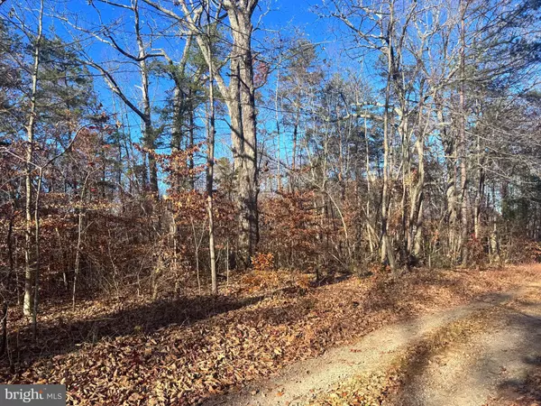 Rochelle, VA 22738,0-LOT A MAIN UNO BAPTIST CHURCH LN