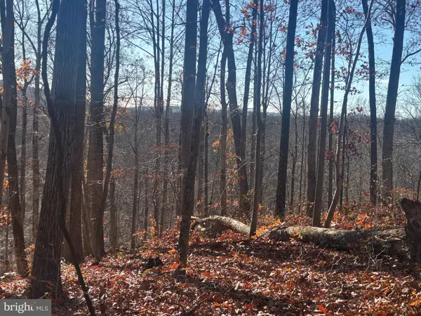 38196 LIME KILN RD, Middleburg, VA 20117