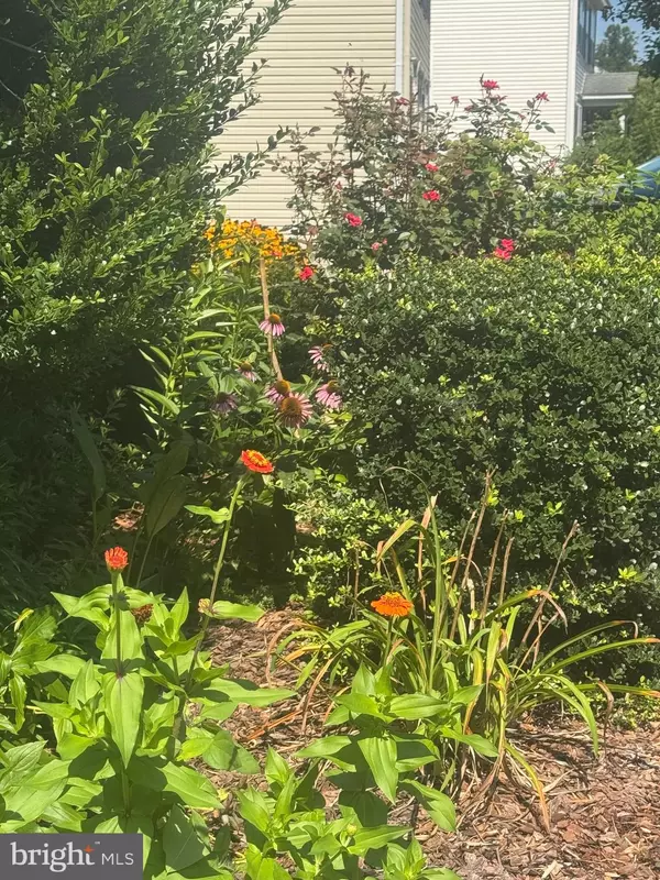 Fredericksburg, VA 22407,6930 VERSAILLE DR