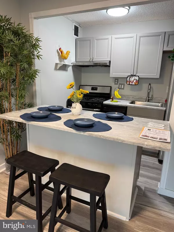 Alexandria, VA 22302,2500 N VAN DORN ST N #1409