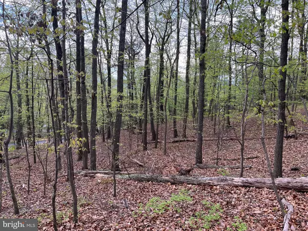 Haymarket, VA 20169,1855 RIDGE RD