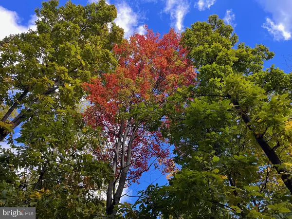 Haymarket, VA 20169,1855 RIDGE RD