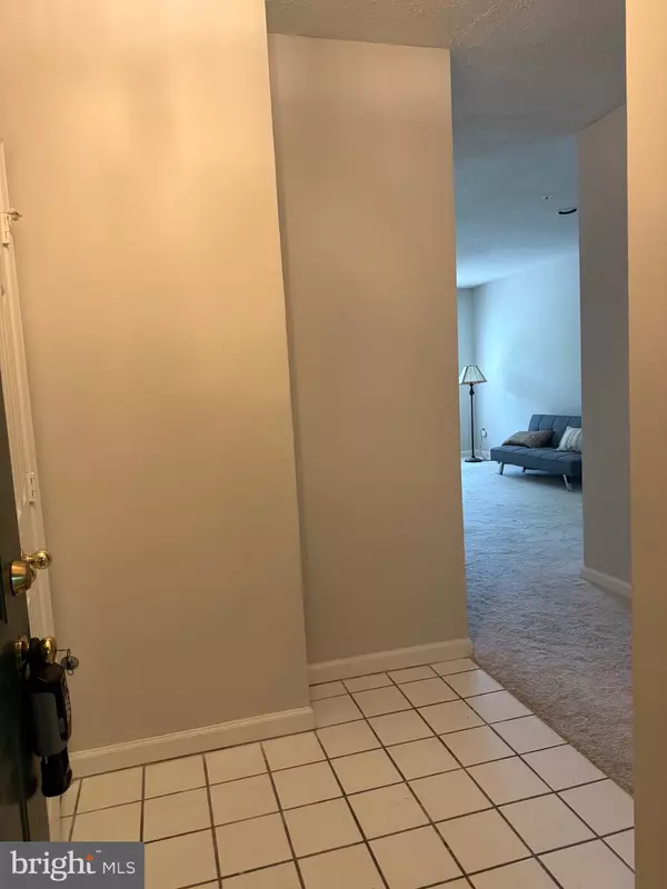 Reston, VA 20190,12012 TALIESIN PL #24