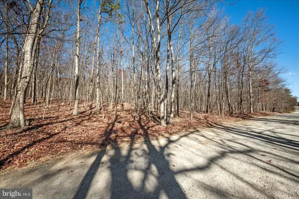 Winchester, VA 22602,LOT 4 A CARDINAL DR