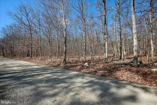 Winchester, VA 22602,LOT 4 A CARDINAL DR