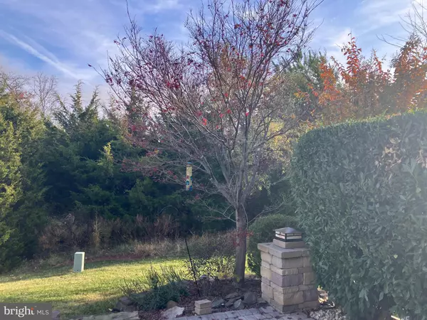 Ashburn, VA 20147,20432 ISLAND WEST SQ