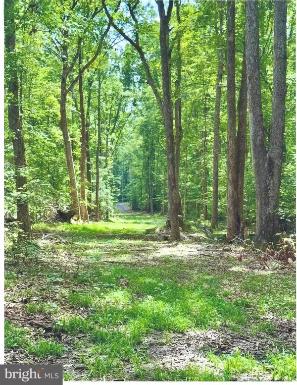 Fredericksburg, VA 22407,14409 SPOTSWOOD FURNACE RD