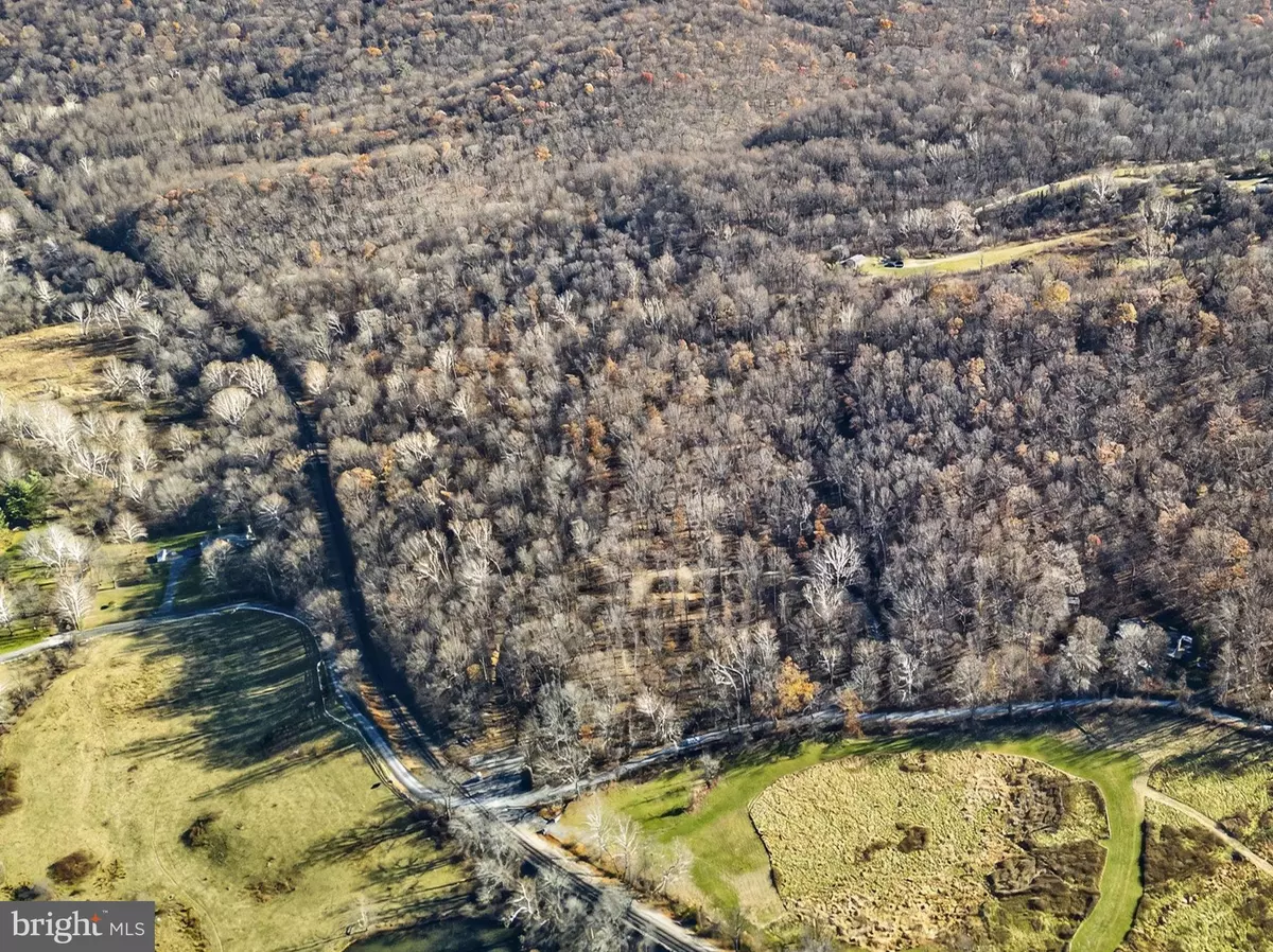 Linden, VA 22642,FIERY RUN RD