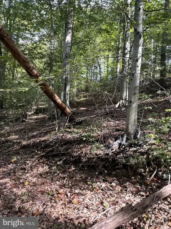 Wilmimgton, DE 19807,1 LAUREL RIDGE LN