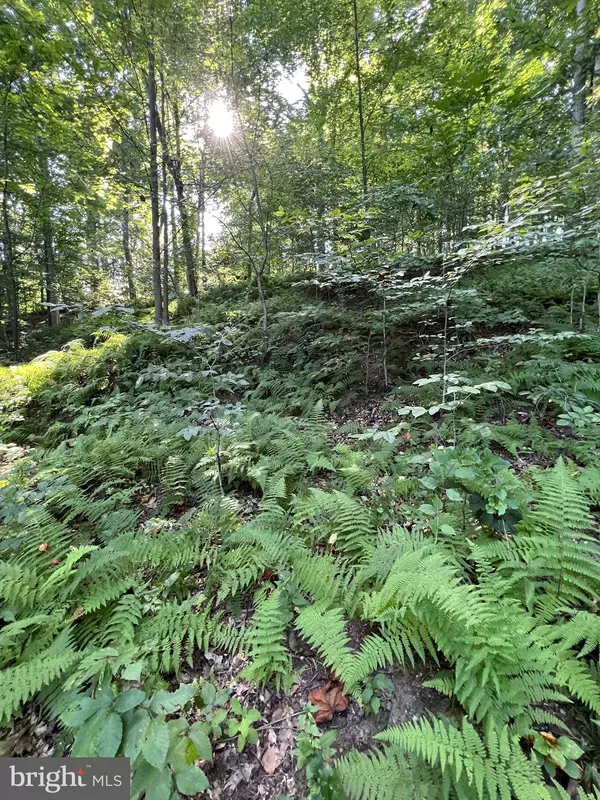 1 LAUREL RIDGE LN, Wilmimgton, DE 19807