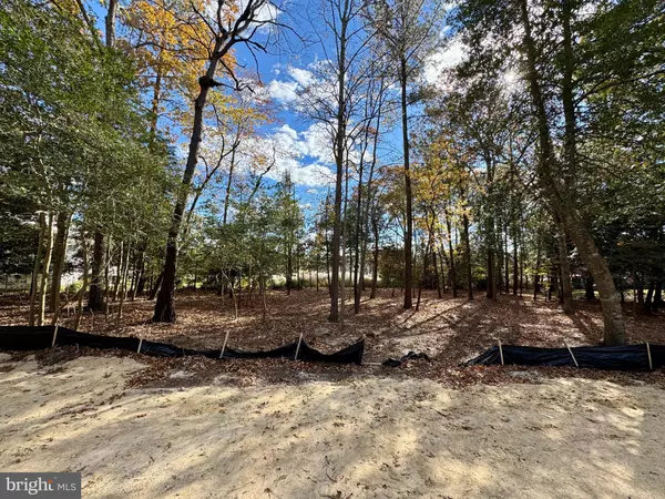 Lewes, DE 19958,33997 NORTH HERON DRIVE - LOT 17