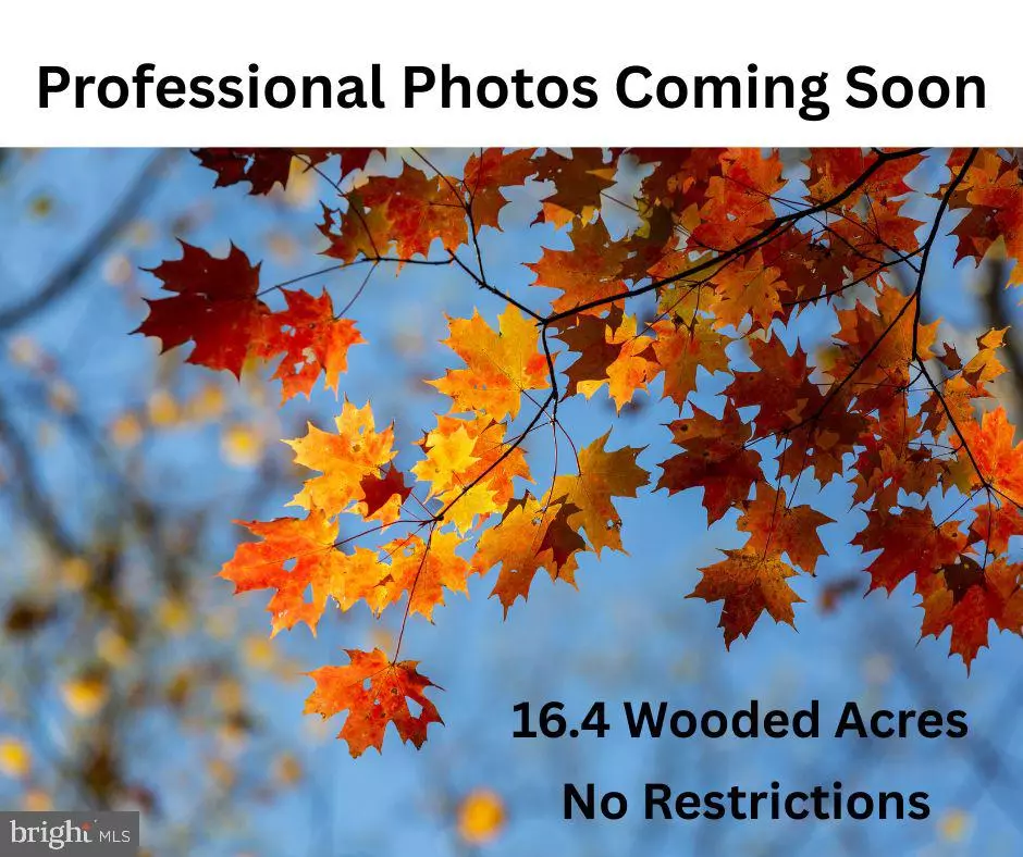 Richardsville, VA 22736,TAX MAP 69 2B ELEYS FORD RD.