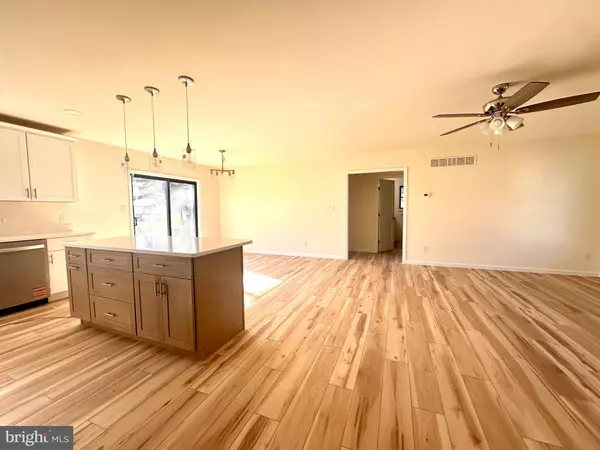 Smyrna, DE 19977,419 MULBERRY ST