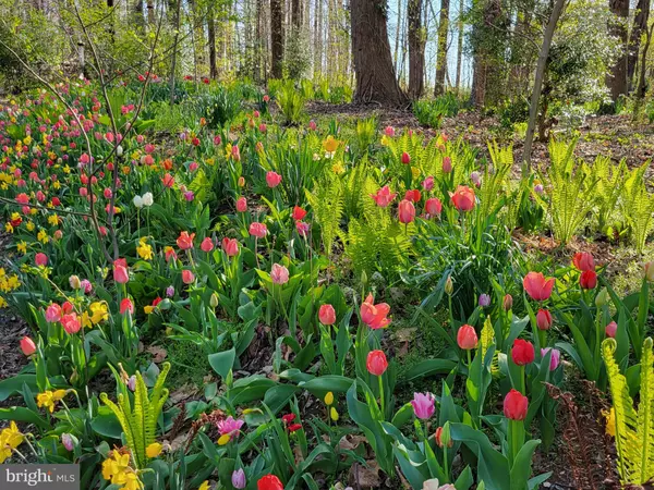 Dickerson, MD 20842,20830 PEACH TREE RD