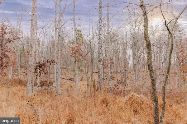 Stanley, VA 22851,LOT 2 GALLOWAY SPRING LN