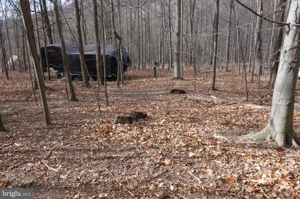 Doylesburg, PA 17219,22556 LOOP RD