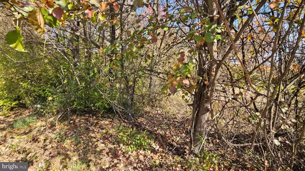 Severna Park, MD 21146,309 CATTAIL PASSAGE CT