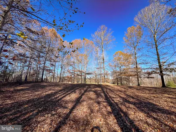 Caret, VA 22436,20.76 BULL NECK RD