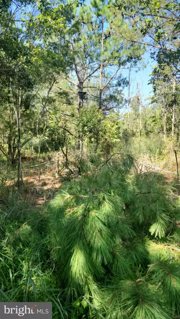 Deal Island, MD 21821,0 RILEY ROBERTS ROAD