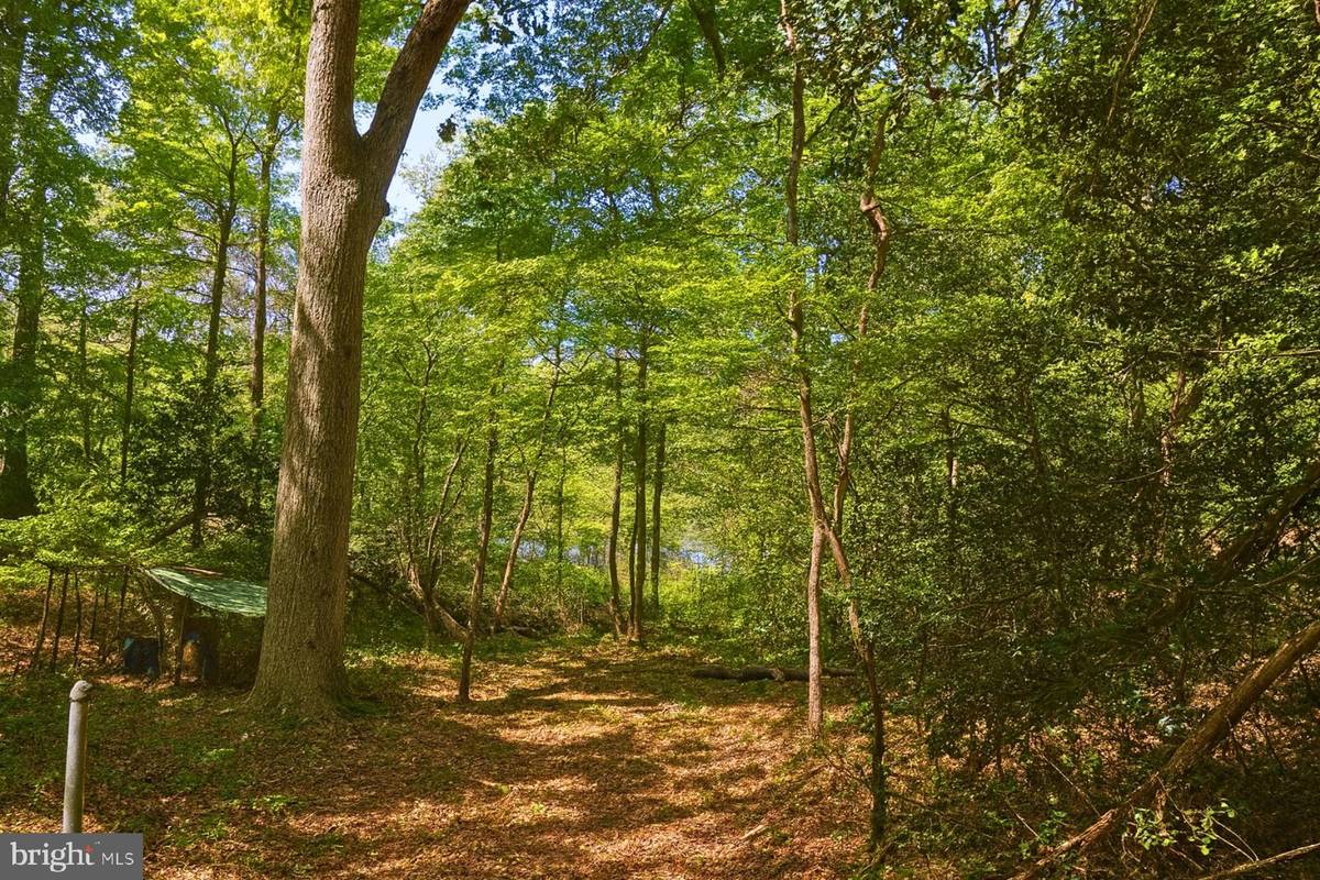 Pasadena, MD 21122,7 GENE AVE