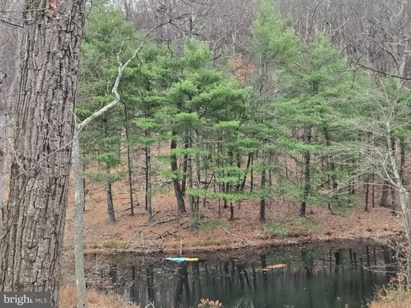 0 SHOCKEYSVILLE RD, Winchester, VA 22603