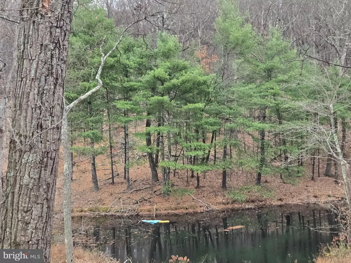 Winchester, VA 22603,0 SHOCKEYSVILLE RD