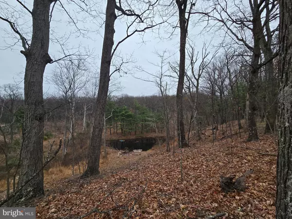 Winchester, VA 22603,0 SHOCKEYSVILLE RD