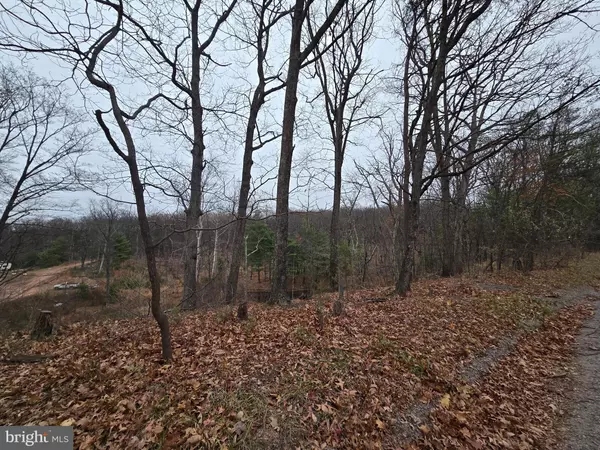 Winchester, VA 22603,0 SHOCKEYSVILLE RD