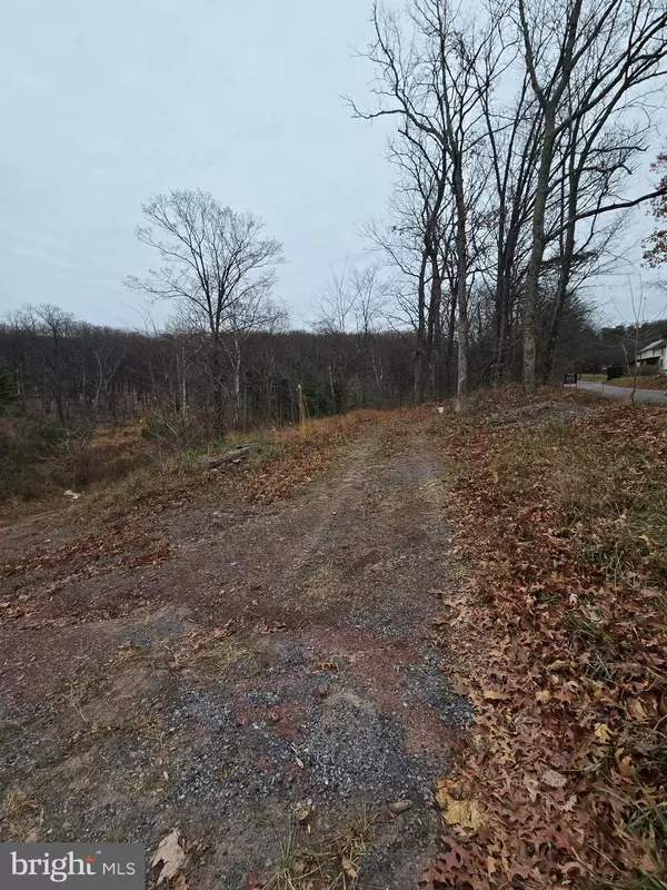 Winchester, VA 22603,0 SHOCKEYSVILLE RD