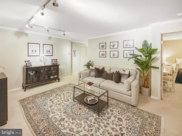 Gaithersburg, MD 20878,127 TIMBERBROOK LN #203