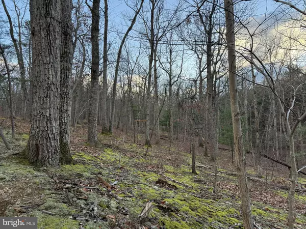 Winchester, VA 22603,N FREDERICK PIKE