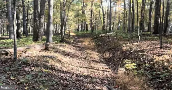 Winchester, VA 22603,N FREDERICK PIKE