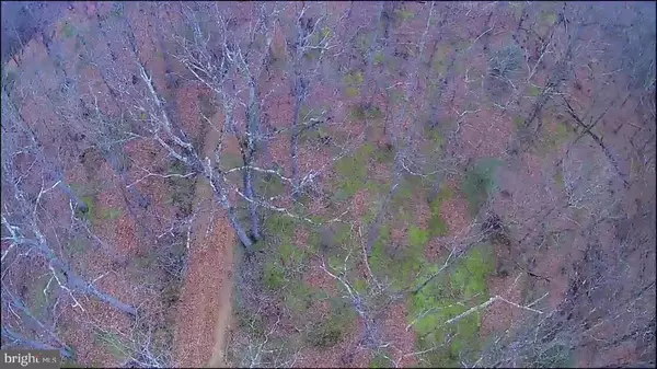 Winchester, VA 22603,N FREDERICK PIKE