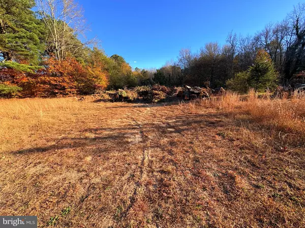 Mardela Springs, MD 21837,8385 HURLEYS NECK RD